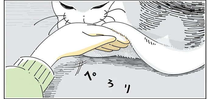 探し物が「猫の体の下」に...？ なぜ確認したくなるのか／夜は猫といっしょ6