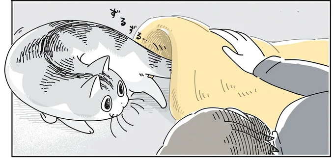 猫に布団をかけたい。飼い主の気づかいに対し猫は...／夜は猫といっしょ6