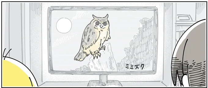 うちの猫がなんか似てる。トラ、アザラシ...ネコ科じゃないのに、なぜなのか／夜は猫といっしょ6