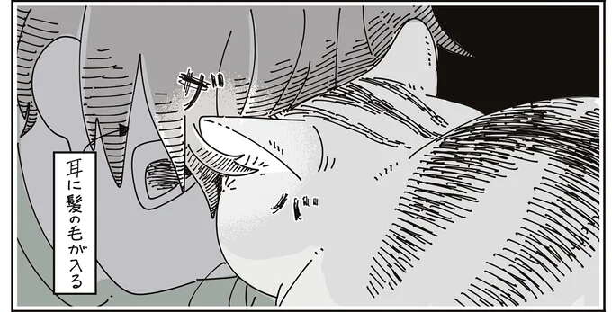 すりすり...ザバ。猫と飼い主のスキンシップで、お互い「毛」がジャマ？／夜は猫といっしょ 7