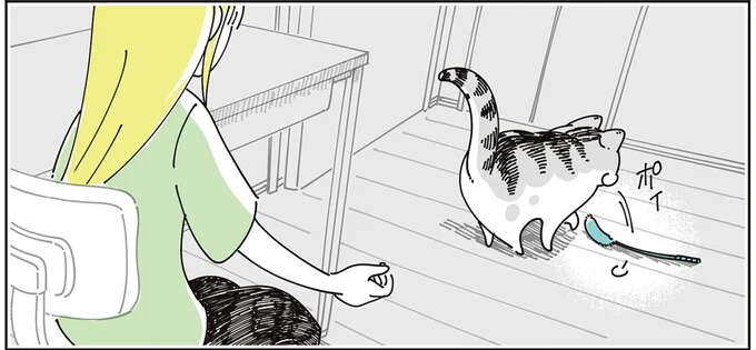 「テンションMAX」で遊ぶ猫。ネコじゃらしを奪って...えっ？／夜は猫といっしょ 7