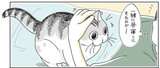 昼寝しようとしたらベッドに猫が。つい遊んでしまって...／夜は猫といっしょ 7