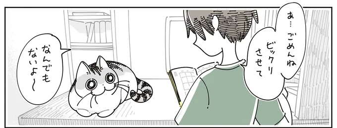 「なんでもないよ」うたぐり深い猫。何をそんなに確かめたいのか／夜は猫といっしょ 7