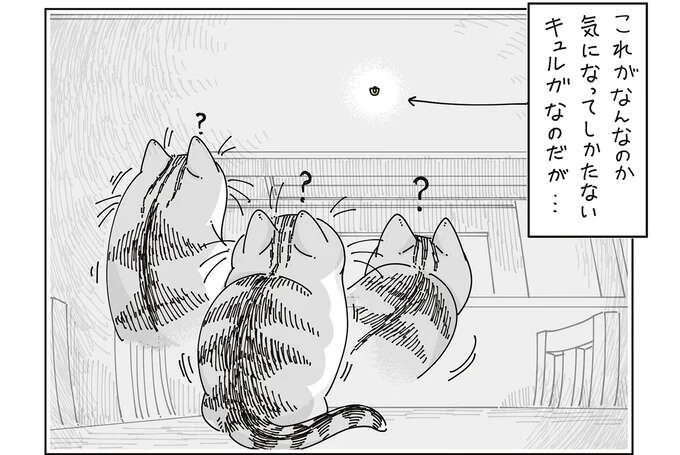 あれは何!? 猫が気になってしょうがない「壁のあれ」／夜は猫といっしょ 7