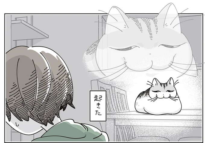 「寝てていい」のに猫を起こしてしまう。確かにこんな顔で寄ってくる...!?／夜は猫といっしょ 7