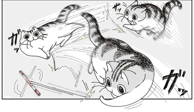 猫がいる家は、モノがなくなりがち...？ 飼い主が目撃したのは／夜は猫といっしょ 7