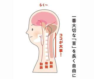 筋緊張がとれ、自律神経が整う イラスト見るだけ整体