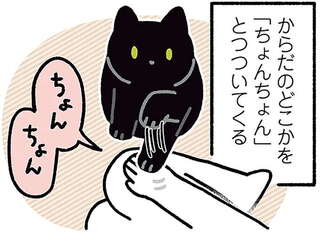 黒猫ろんと暮らしたら4～6