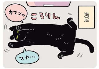 黒猫ろんと暮らしたら7
