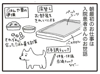 いぬねこ動物病院日記