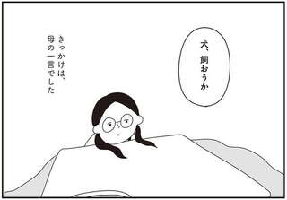 おはよう、サンテ
