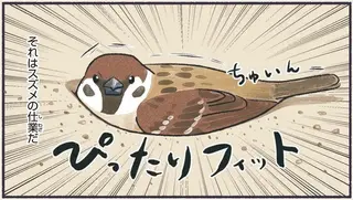 意外と知らない鳥の生活 1〜2