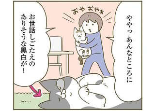 うちの猫がまた変なことしてる。5～8