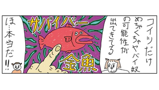 へたくそなのに泣くほど笑える！ カッラフルなエッッブリデイ