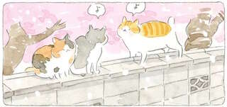 ねことじいちゃん6～11