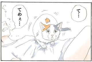 拾い猫のモチャ1～8