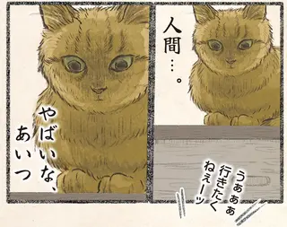 今日もネコ様の圧が強い2