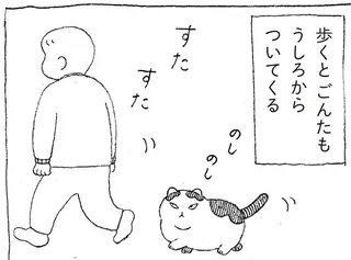 野良猫ごんた、家猫になる