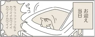 ねこのつゆちゃんのことで頭がいっぱいです