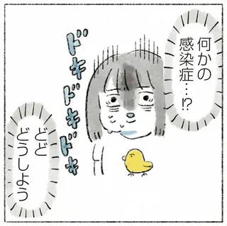 うちの猫は今日も塩対応