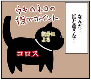 鴻池剛と猫のぽんた ニャアアアン! 1～4