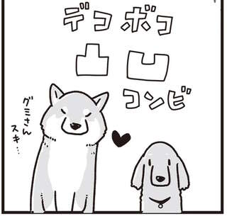 何度でも言うね、大好きだよ 愛犬グミと銀次郎と過ごした日々